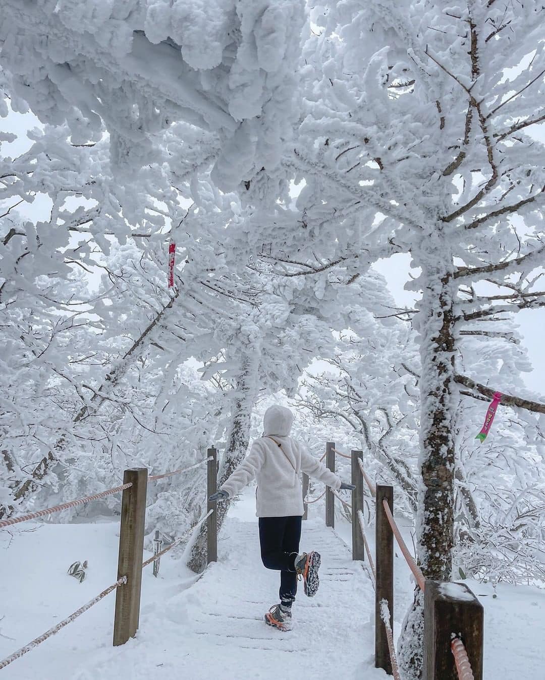 2 1 2 Núi Hallasan, Jeju đẹp hùng vĩ trong tuyết