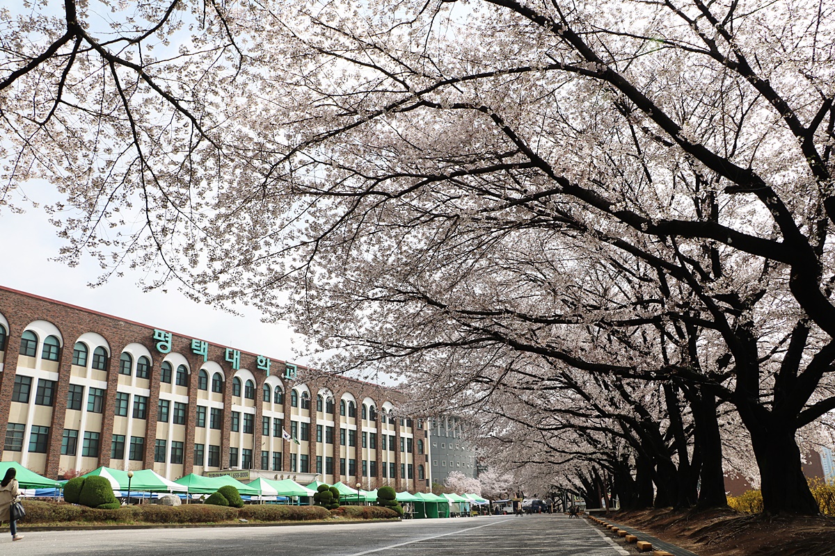 Đại học Pyeong Taek – 평택대학교 2 20181165521 editor image Đại học Pyeong Taek – 평택대학교