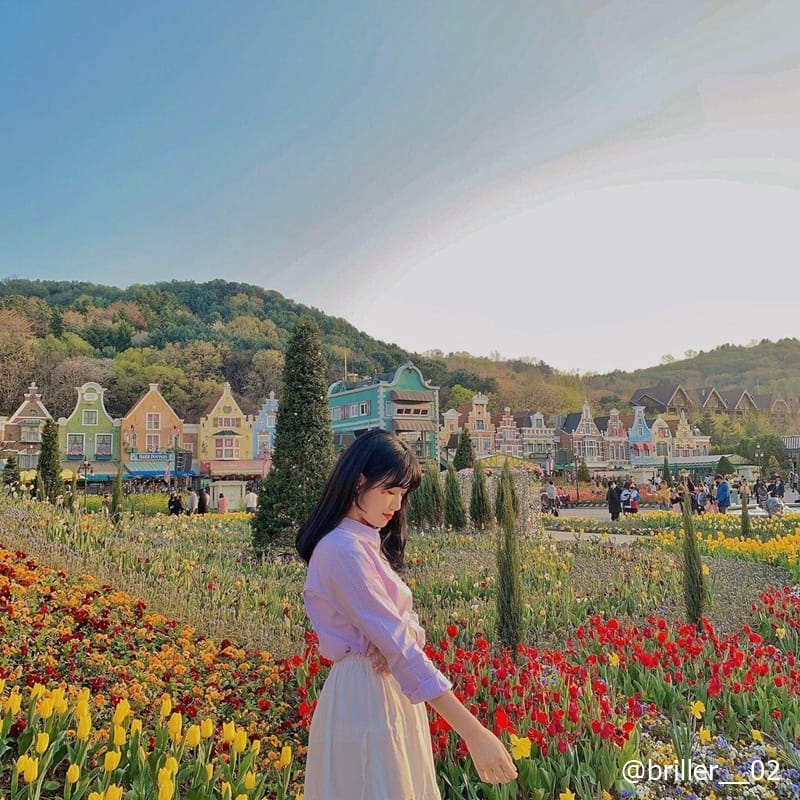 20210330122652 37820d0d8f585be7cff209b2bbdd3711 zfwc 1 Lễ hội hoa tulip ở công viên Everland 에버랜드 튤립축제🌷