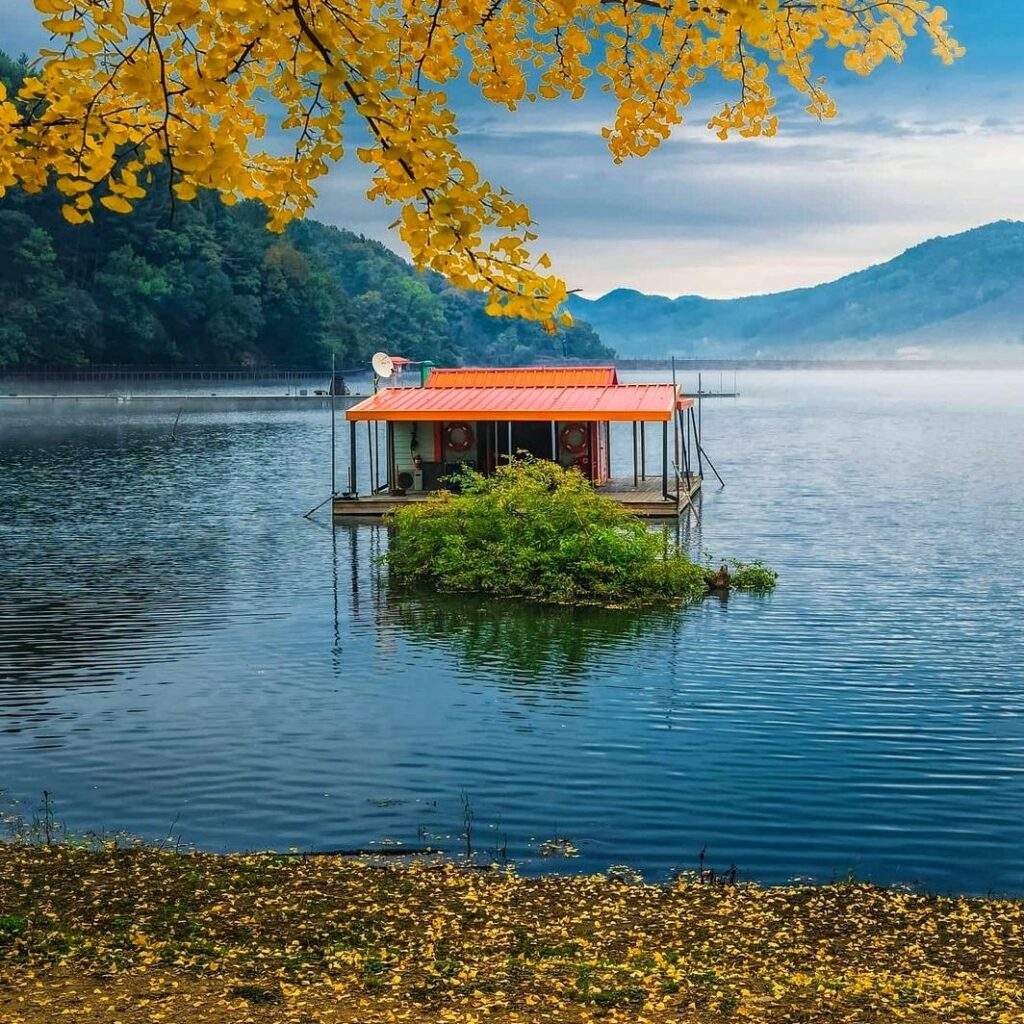 245967738 166442402351476 3053842015887669416 n 1 1024x1024 1 충청북도 괴산군 Rừng lá vàng thơ mộng bên cạnh hồ nước