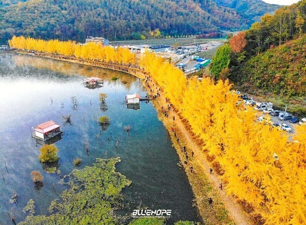 246035441 166442619018121 1239679427928290560 n 3 1024x754 1 충청북도 괴산군 Rừng lá vàng thơ mộng bên cạnh hồ nước