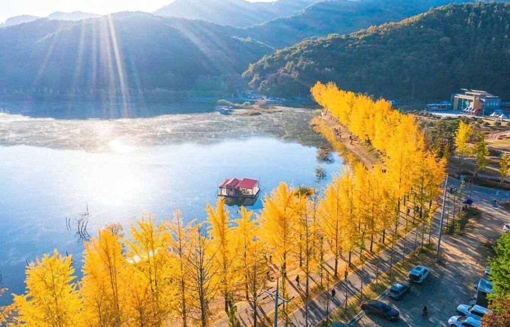 246232211 166442672351449 7232464025382402482 n 1024x658 1 충청북도 괴산군 Rừng lá vàng thơ mộng bên cạnh hồ nước