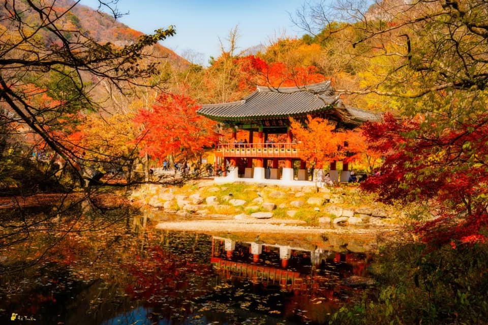 249574917 262777785787707 156615089230290825 n 1 백양사 Chùa Baekyangsa