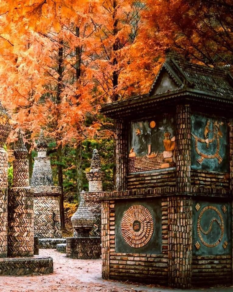 대전 Mùa thu tại Công viên Rừng Sangso-dong 상소동산림욕장 13 251397494 433689844767595 575640628450074410 n 1 대전 Mùa thu tại Công viên Rừng Sangso-dong 상소동산림욕장