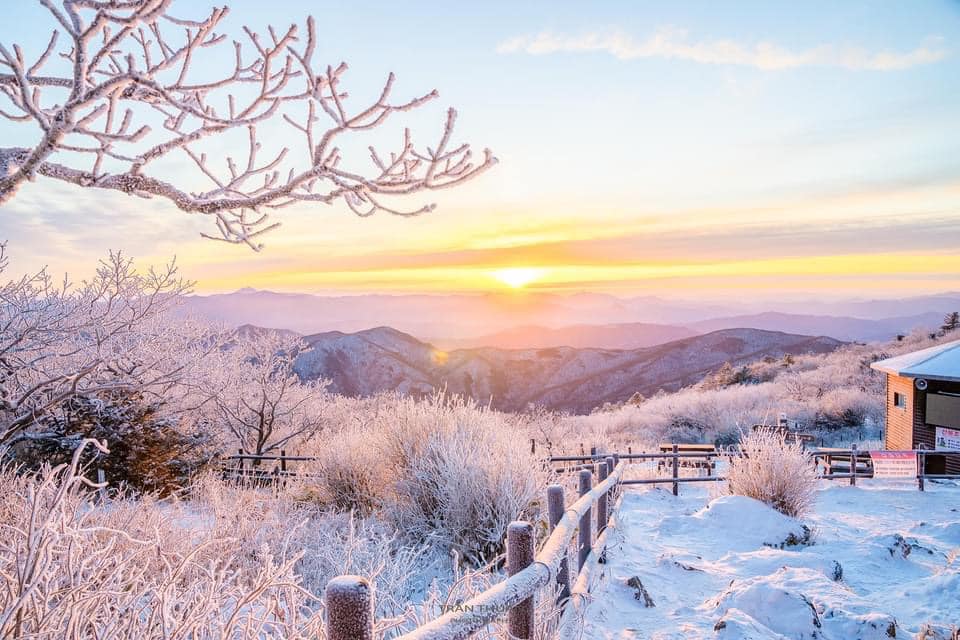 254981248 270350845030401 2611962365715158147 n 1 Tuyết rơi trên ngọn núi 덕유산 ❄️