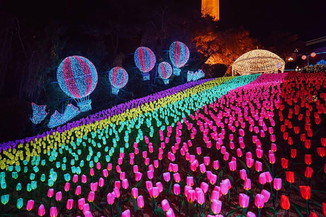 255341255 270600701672082 6623668298637695800 n 1 Lễ hội ánh sáng tại công viên Eworld