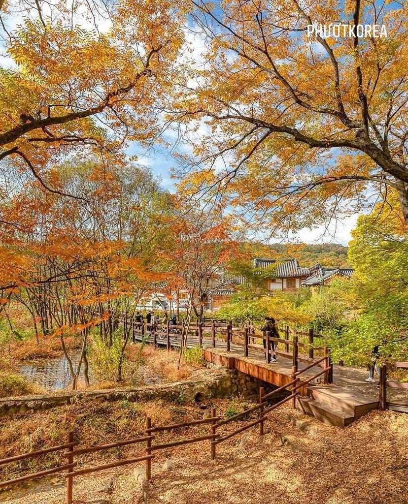 Làng Eunpyeong Hanok - Seoul 10 255773189 930366390928588 3188718759304585898 n 1 Làng Eunpyeong Hanok - Seoul