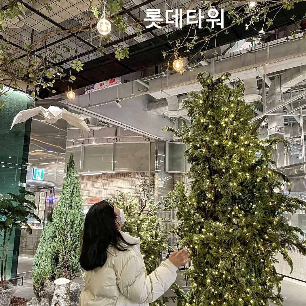 261036240 192312046431178 7494000812566558082 n 1 LOTTE WORLD
