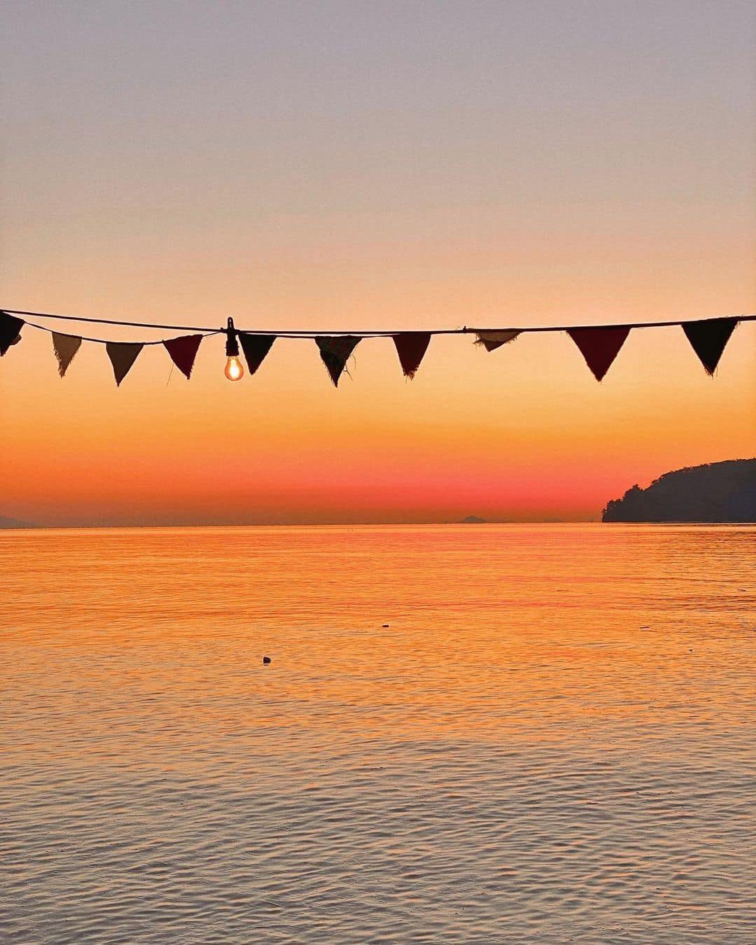 🌅𝓜𝓾𝓭 𝓒𝓸𝓯𝓯𝓮𝓮 - 뻘다방 카페 6 270677292 303089191756566 1976157365356075846 n 1 🌅𝓜𝓾𝓭 𝓒𝓸𝓯𝓯𝓮𝓮 - 뻘다방 카페