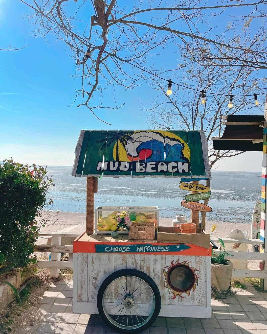 🌅𝓜𝓾𝓭 𝓒𝓸𝓯𝓯𝓮𝓮 - 뻘다방 카페 8 271139641 303089228423229 8840114504047109437 n 1 🌅𝓜𝓾𝓭 𝓒𝓸𝓯𝓯𝓮𝓮 - 뻘다방 카페