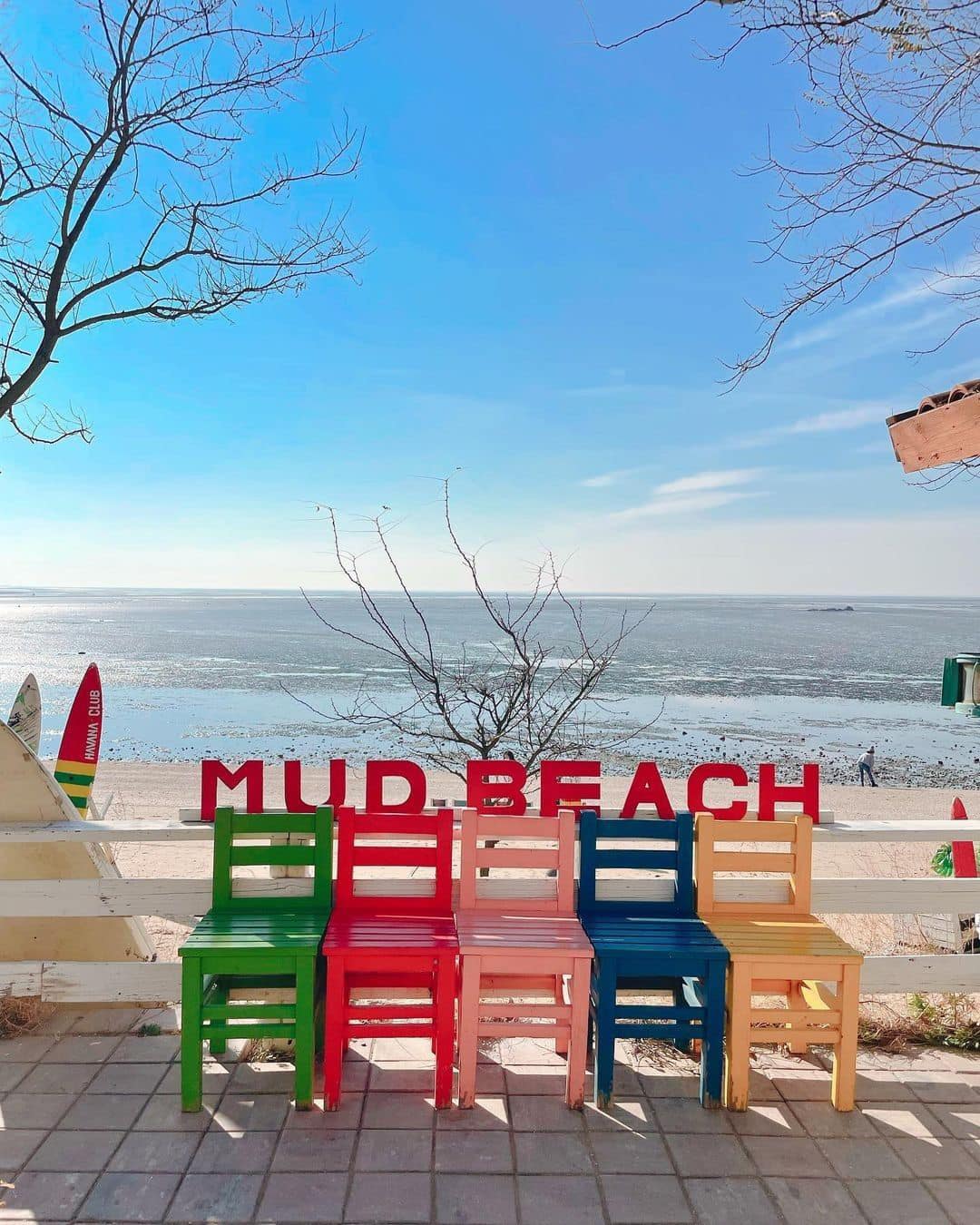 🌅𝓜𝓾𝓭 𝓒𝓸𝓯𝓯𝓮𝓮 - 뻘다방 카페 9 271541685 303089108423241 1873694148482120652 n 1 🌅𝓜𝓾𝓭 𝓒𝓸𝓯𝓯𝓮𝓮 - 뻘다방 카페