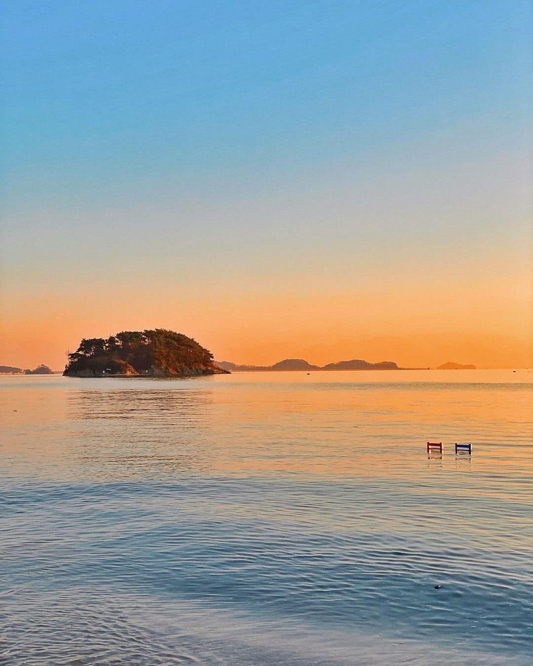 🌅𝓜𝓾𝓭 𝓒𝓸𝓯𝓯𝓮𝓮 - 뻘다방 카페 10 271542318 303089155089903 1550017318850829431 n 1 🌅𝓜𝓾𝓭 𝓒𝓸𝓯𝓯𝓮𝓮 - 뻘다방 카페