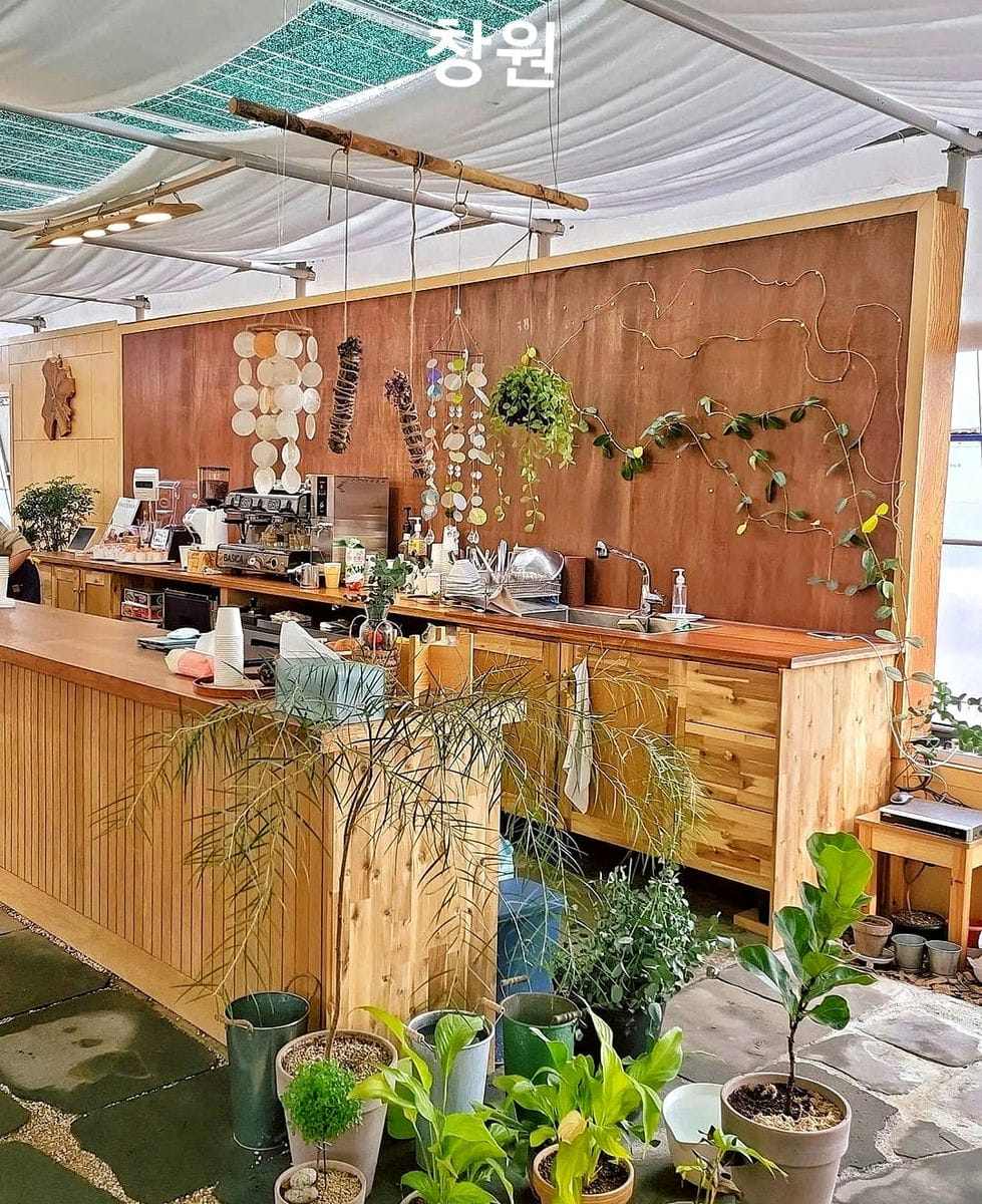Trải nghiệm hái dâu tại vườn ở Changwon 2 271601386 219844580344591 2022789276636008489 n 1 Trải nghiệm hái dâu tại vườn ở Changwon