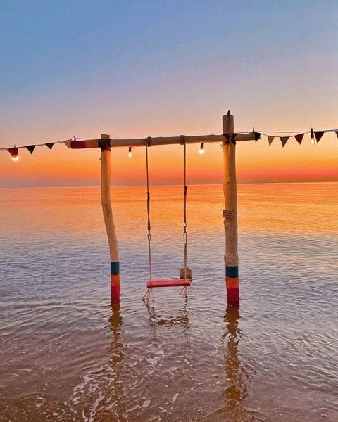 🌅𝓜𝓾𝓭 𝓒𝓸𝓯𝓯𝓮𝓮 - 뻘다방 카페 13 271639348 303088391756646 3987114494200023521 n 1 🌅𝓜𝓾𝓭 𝓒𝓸𝓯𝓯𝓮𝓮 - 뻘다방 카페
