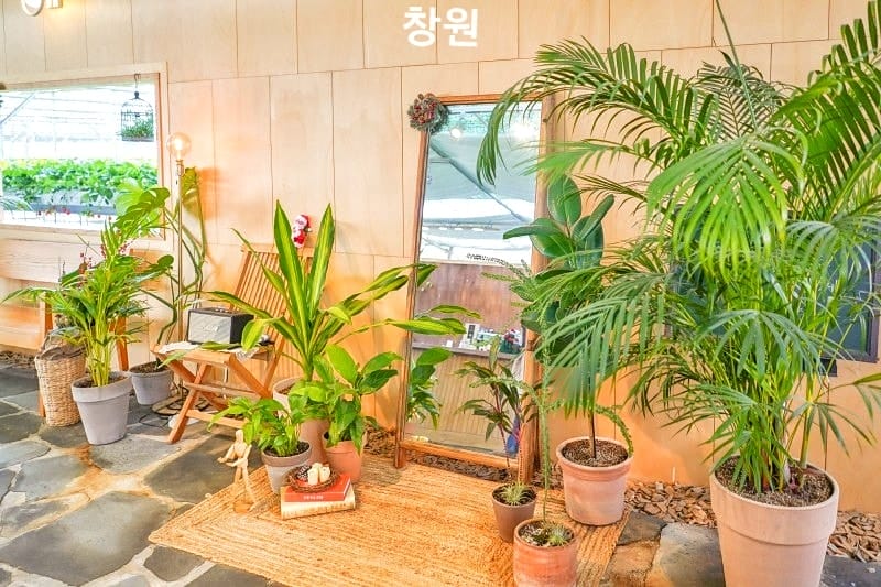 Trải nghiệm hái dâu tại vườn ở Changwon 10 271658715 219843587011357 5960208661664846023 n 1 Trải nghiệm hái dâu tại vườn ở Changwon