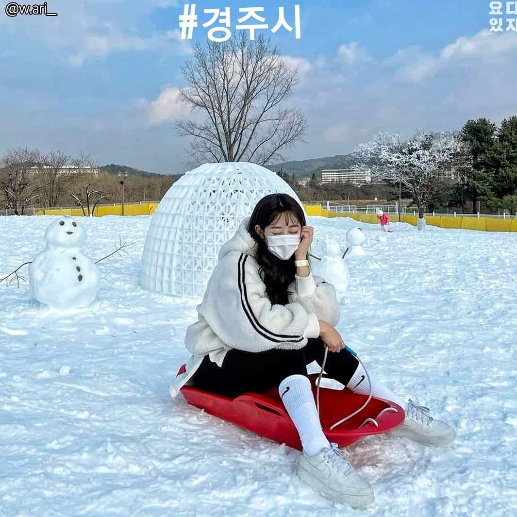 271718255 221038256891890 4573133503566307909 n 1 Công viên giải trí Gyeongju World vào mùa đông