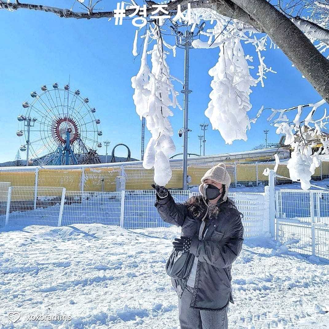 271736054 221037346891981 908184958543996662 n 1 Công viên giải trí Gyeongju World vào mùa đông