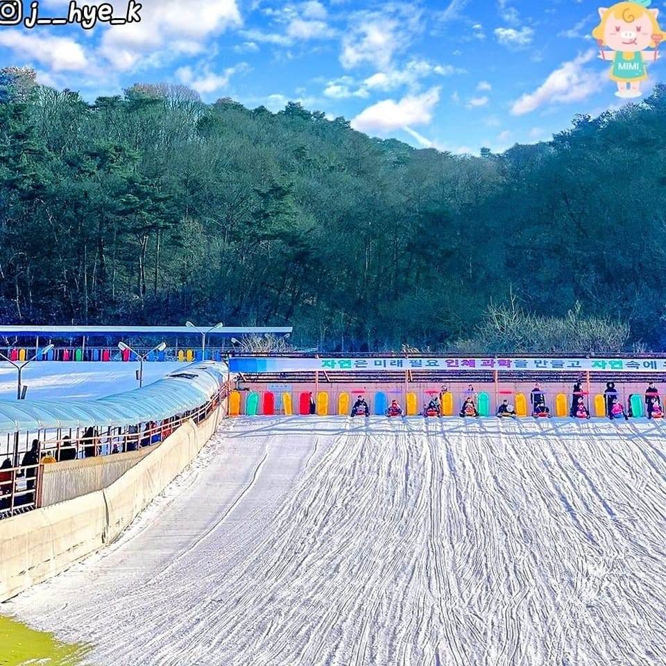 Khu trượt tuyết ở Cheongju 2 271776711 222914520037597 1497392793267218441 n 1 Khu trượt tuyết ở Cheongju