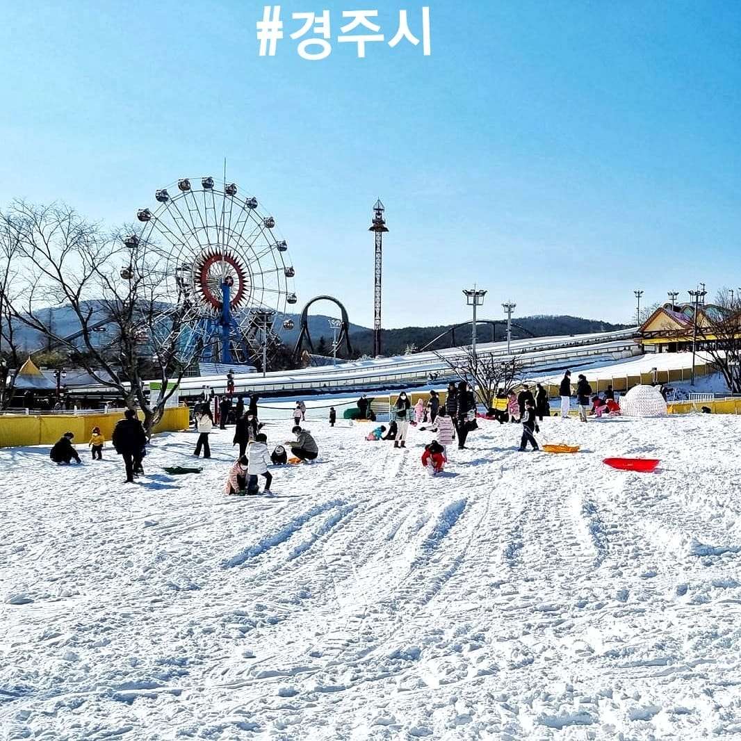 271806254 221046360224413 8674148665616167282 n 1 Công viên giải trí Gyeongju World vào mùa đông