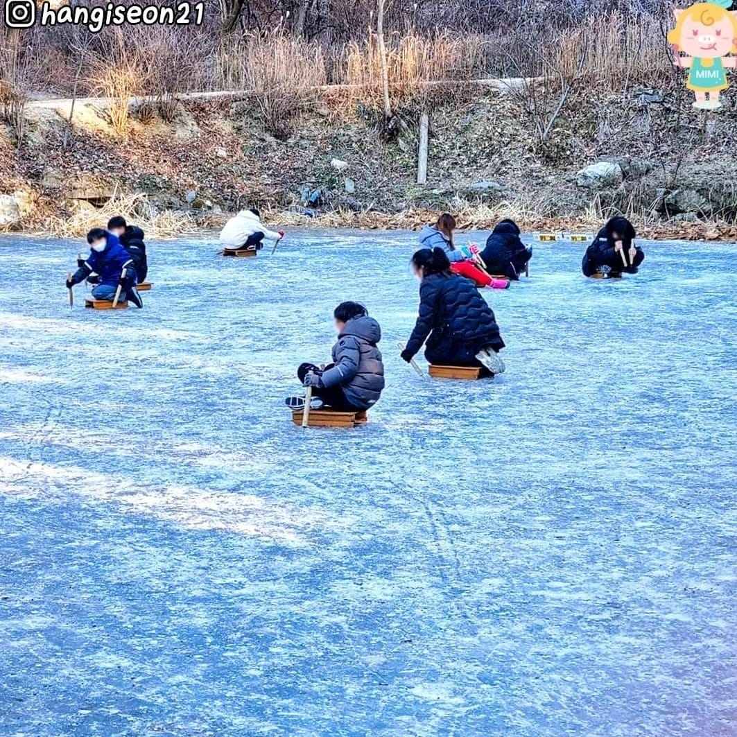 Khu trượt tuyết ở Cheongju 14 271859438 222922336703482 8886785507609432434 n 1 Khu trượt tuyết ở Cheongju