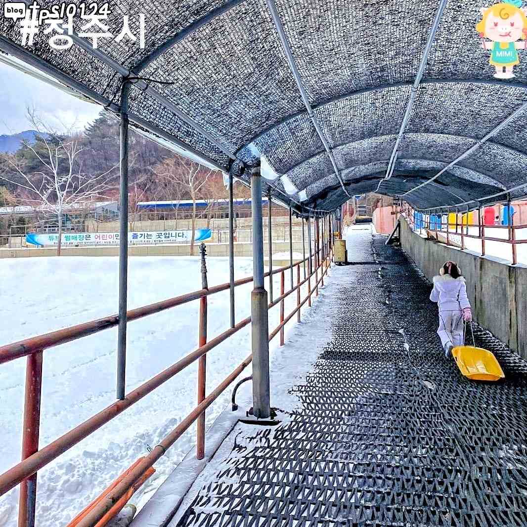 Khu trượt tuyết ở Cheongju 21 271929903 222925830036466 3490745474568835918 n 1 Khu trượt tuyết ở Cheongju