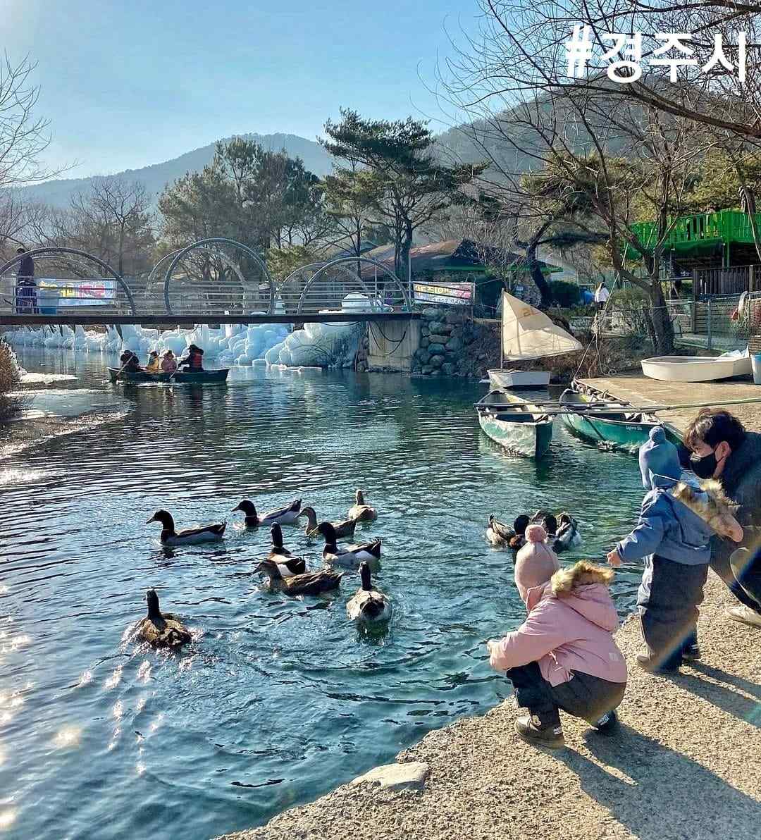 272251496 227647616230954 290411240212487743 n 1 Chèo thuyền trên hồ băng tại Gyeongju