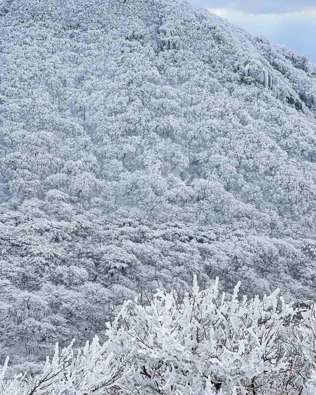 272263632 310444907687661 2920762886746405700 n 1 Núi Hallasan, Jeju đẹp hùng vĩ trong tuyết