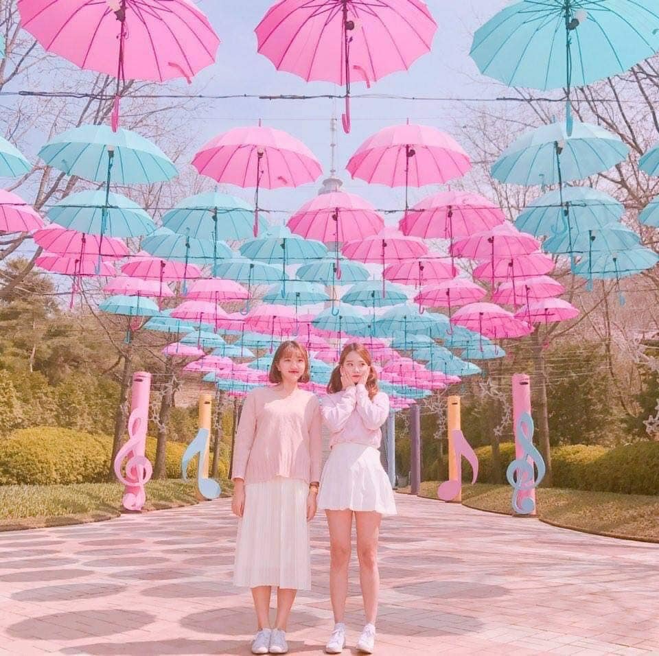 273769079 322351063163712 4435271525173172116 n 1 Hoa anh đào ở công viên giải trí Eworld (Daegu)