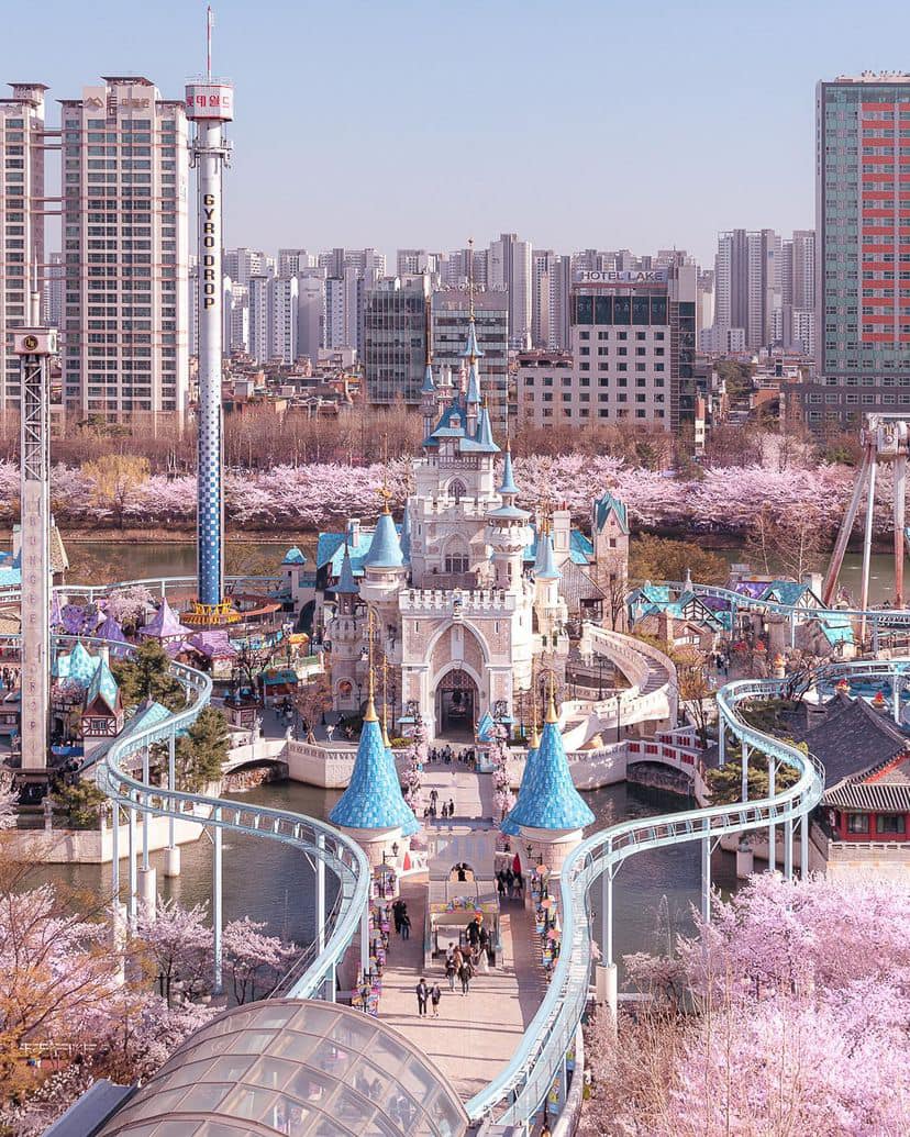 Lễ hội hoa anh đào Hồ Seokchon (석촌호수) 19 275174320 335566115175540 6495279271325240386 n 1 Lễ hội hoa anh đào Hồ Seokchon (석촌호수)