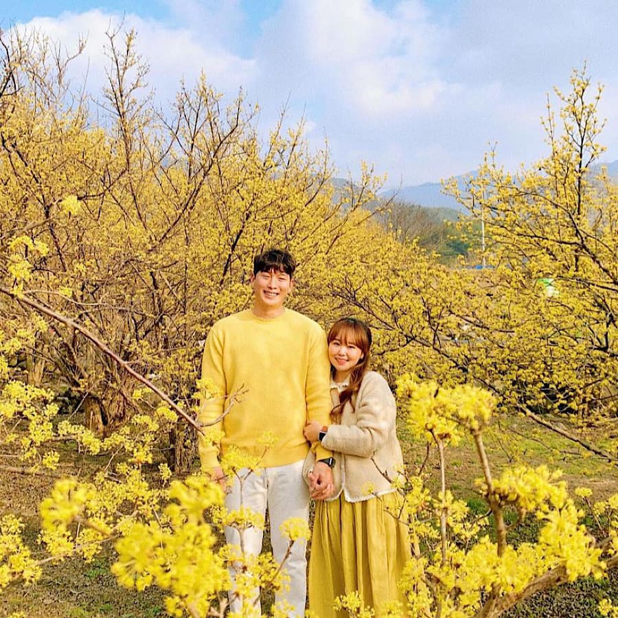 Mùa xuân, mùa hoa Sơn thù du (산수유) đã đến rồi! 11 275264172 336046708460814 876404665714895013 n 1 Mùa xuân, mùa hoa Sơn thù du (산수유) đã đến rồi!