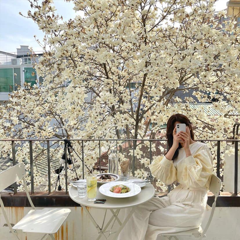 275279813 336496681749150 424592397149867895 n 1 Ngắm hoa mộc lan ở Nhà hàng "Whole Grain" Daegu