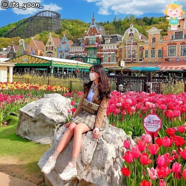 275566119 339036521495166 4488836303241214146 n 1 Lễ hội hoa tulip ở công viên Everland 에버랜드 튤립축제🌷