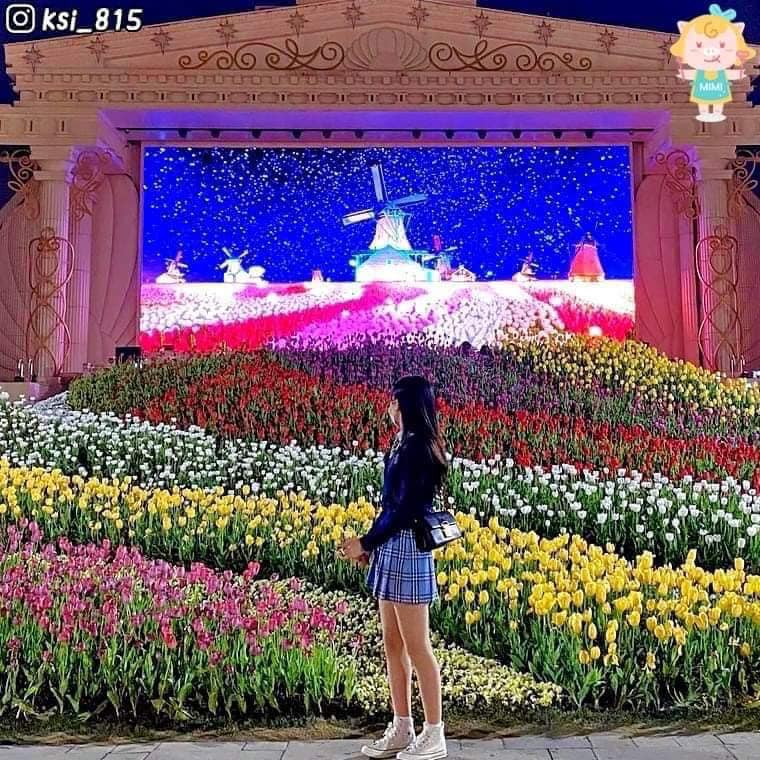 275615086 339036604828491 5886424054494596394 n 1 Lễ hội hoa tulip ở công viên Everland 에버랜드 튤립축제🌷