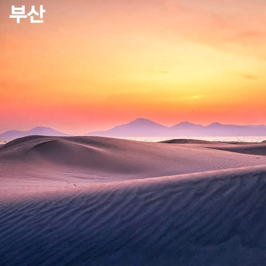 275784999 261080746220974 9051556926109275474 n 1 Khám phá Sa Mạc nằm trong lòng Busan