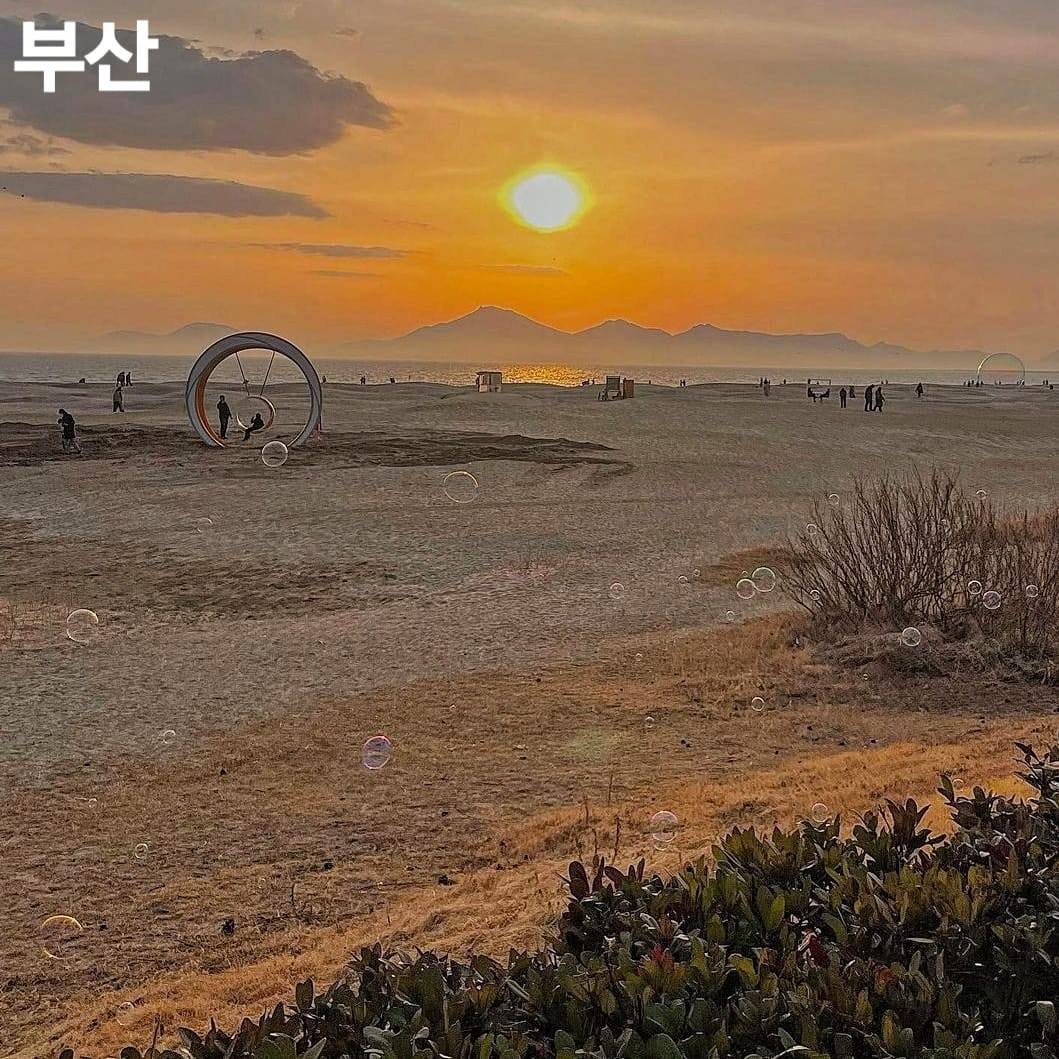 275794252 261083339554048 1945781355250796406 n 1 Khám phá Sa Mạc nằm trong lòng Busan