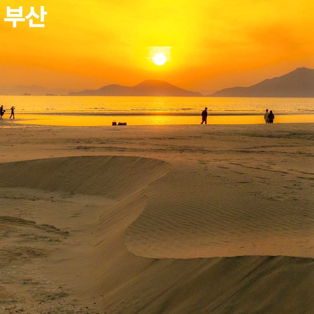 275795984 261083292887386 2587497880857834472 n 1 Khám phá Sa Mạc nằm trong lòng Busan
