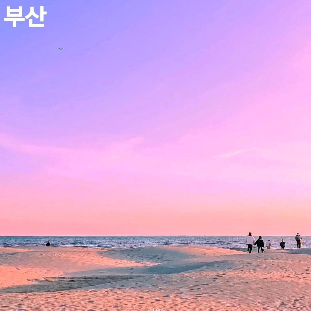 275847143 261082052887510 1234014464260502287 n 1 Khám phá Sa Mạc nằm trong lòng Busan