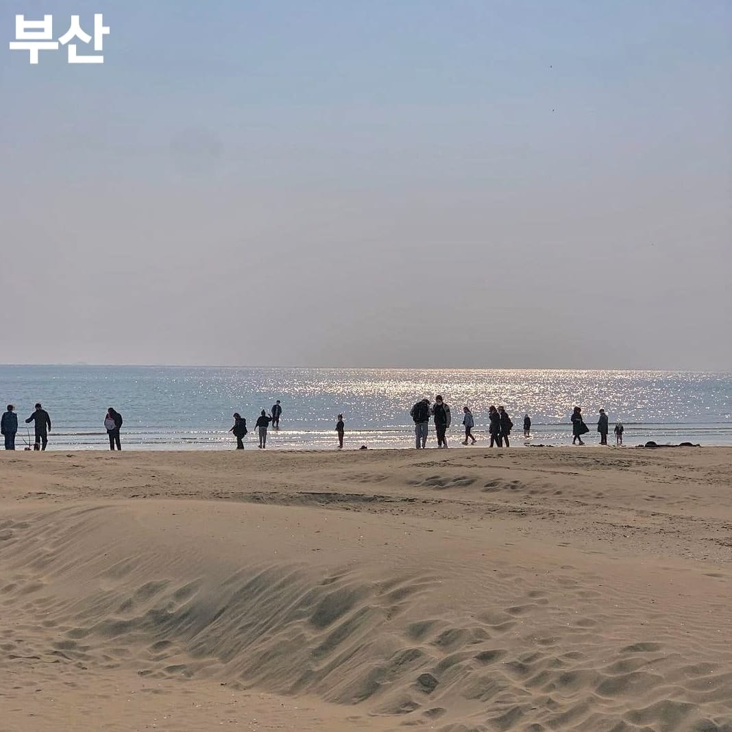 275855043 261082086220840 1861454395259436908 n 1 Khám phá Sa Mạc nằm trong lòng Busan