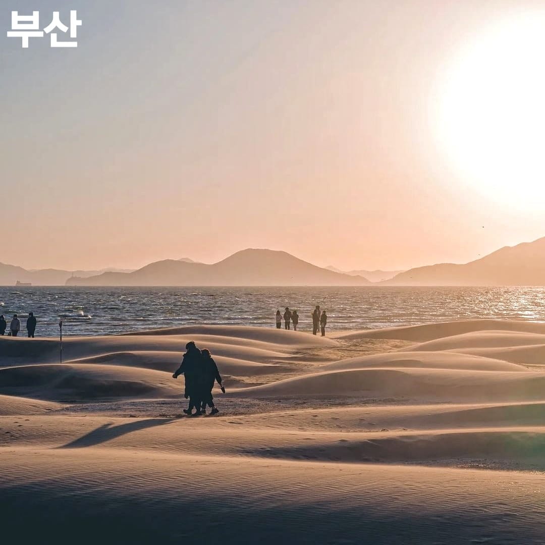 275886232 261083149554067 904408418753500045 n 1 Khám phá Sa Mạc nằm trong lòng Busan