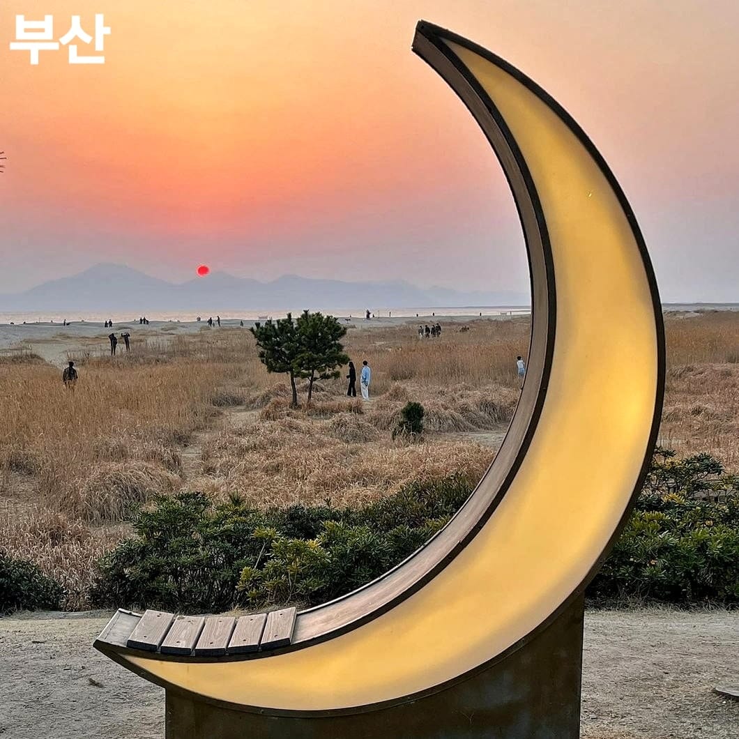 275917088 261083399554042 1937416922184698558 n 1 Khám phá Sa Mạc nằm trong lòng Busan