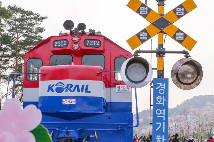 276133622 343374657728019 697454852240337455 n 1 Mùa hoa anh đào ở Jinhae ￼