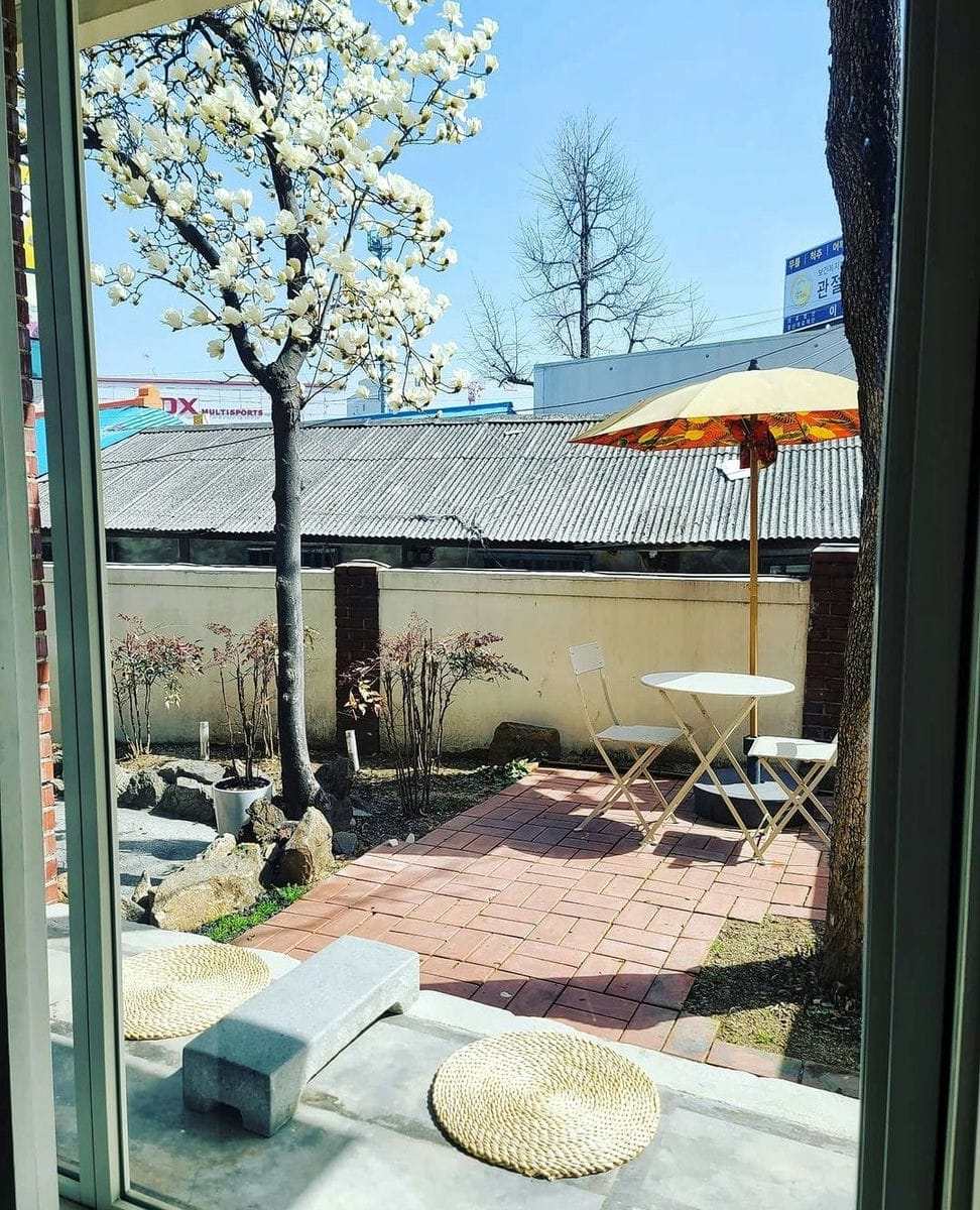 277673706 271572005171848 166313193098679811 n 1 Quán cafe có view Hoa Mộc Lan ở Suwon-si