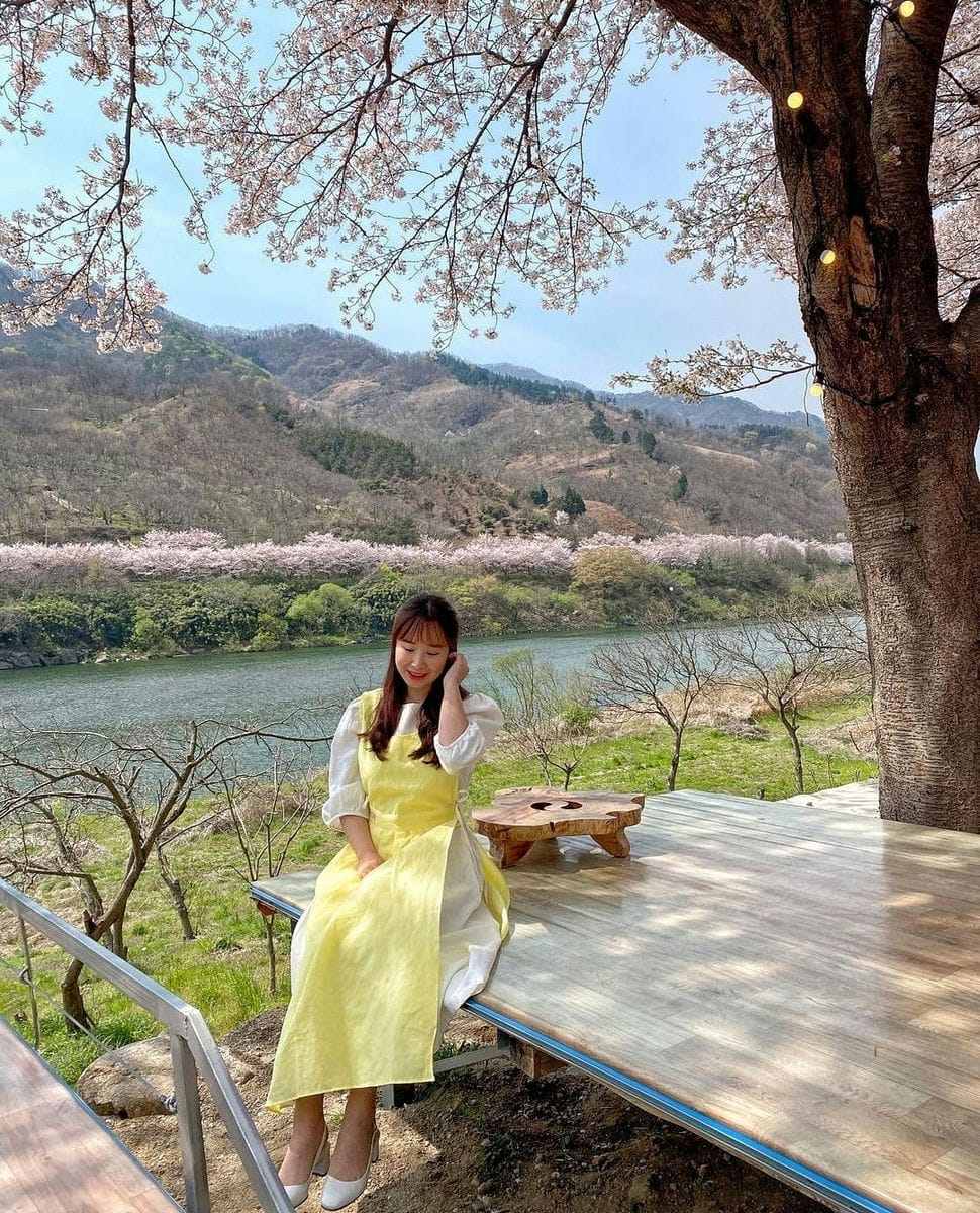 Đường hoa dài 5km đẹp nhất hiện nay tại 경상남도 20 277679918 272321925096856 330310155208906974 n 1 Đường hoa dài 5km đẹp nhất hiện nay tại 경상남도