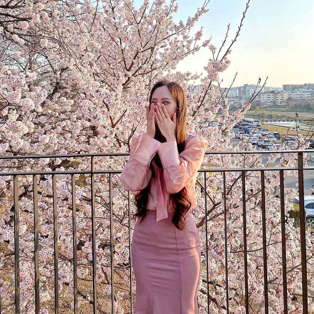277996396 275667941428921 2909722185687124009 n 1 Cùng ngắm hoa anh đào ở Cheongju-si