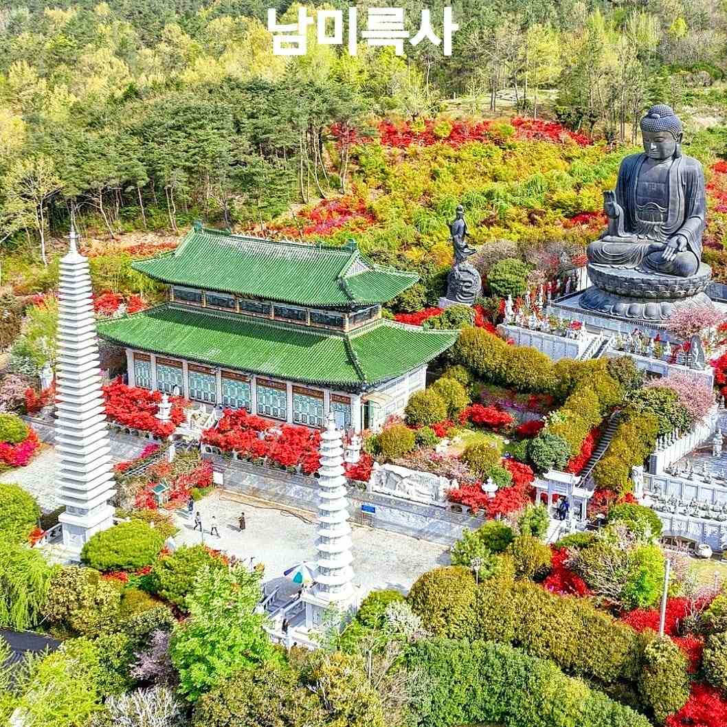 278134559 277683334560715 2530818907515481431 n 1 Muôn sắc hoa xuân tại chùa Nammireuksa