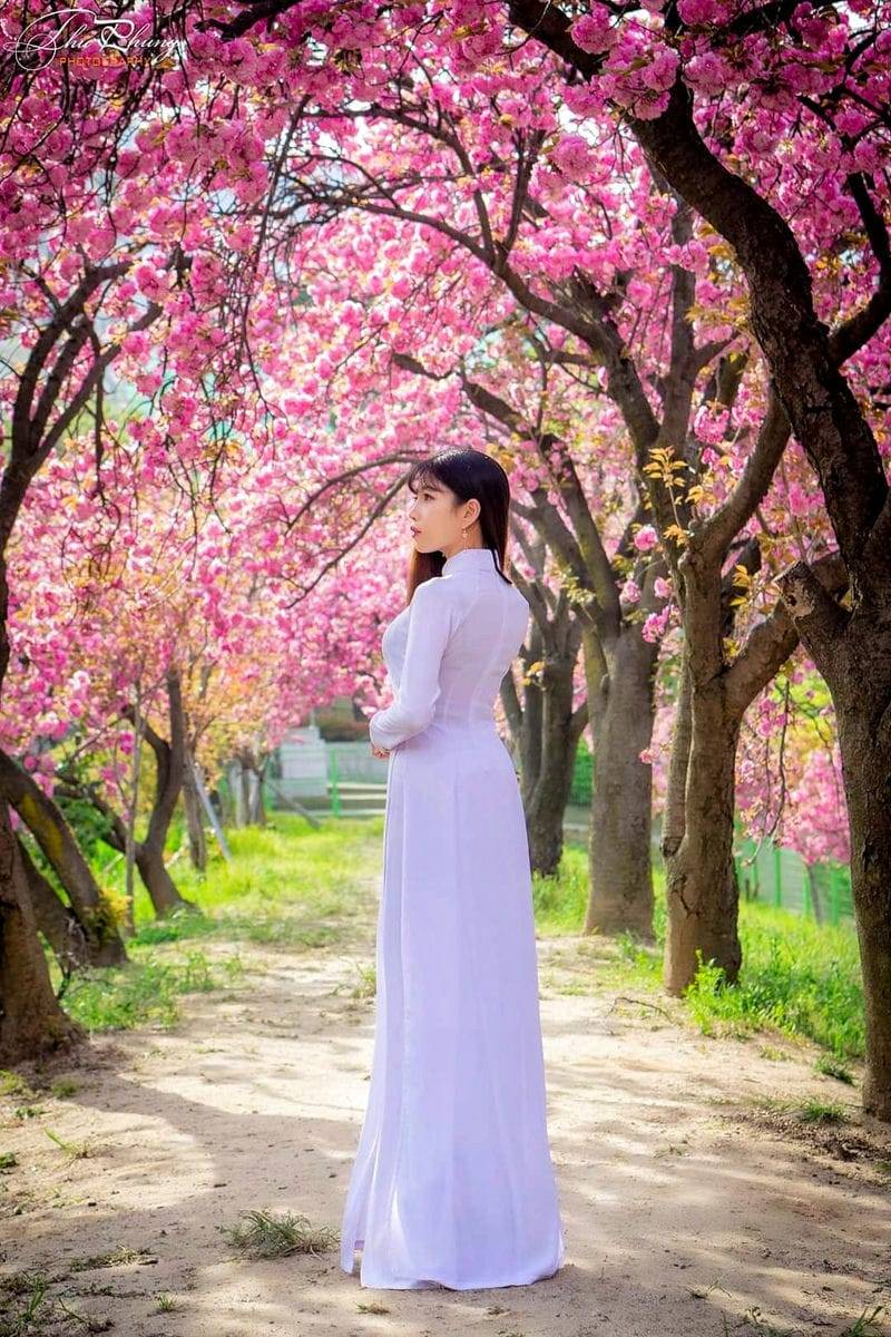 278458114 280742924254756 3710140870447810083 n 1 Công viên Hoa anh Đào Kép ở Daegu vào mùa xuân
