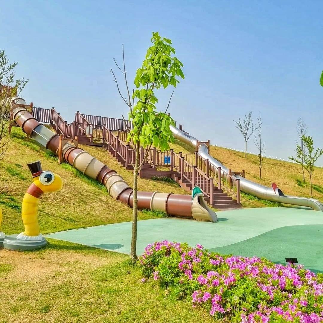 279556375 293719132957135 3483778100239291233 n 2 Đồi hoa Tulip mênh mông ngay tại Pyeongtaek