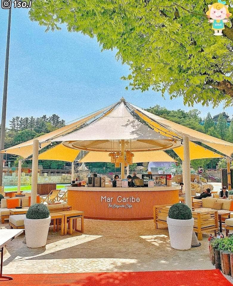 280651583 376539791078172 2979180048884275995 n 2 Mar Caribe The bayside cafe