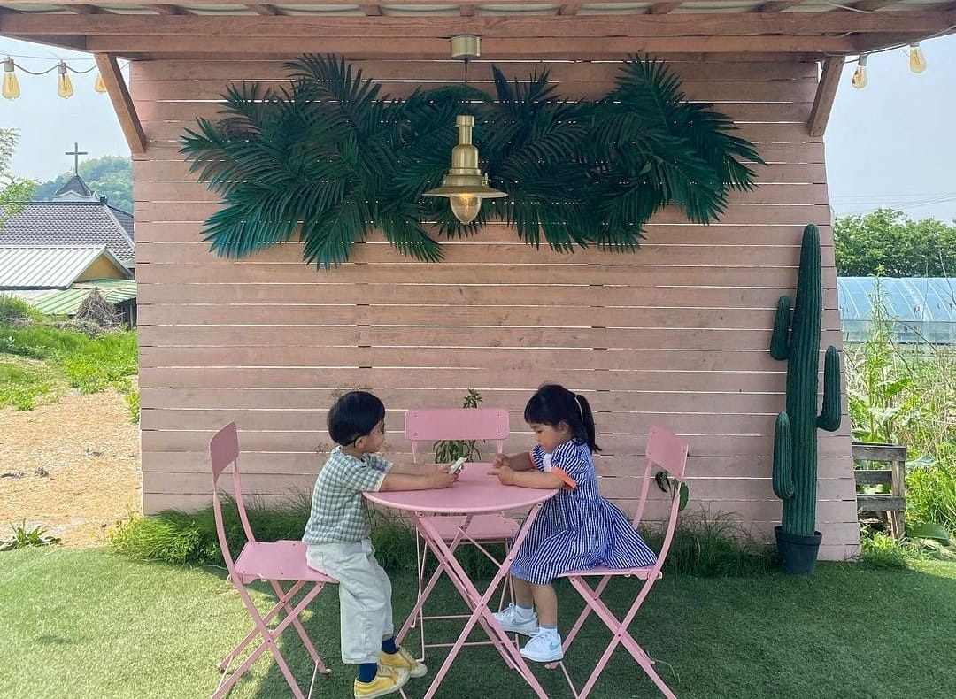 283300698 308596398136075 3067073779006742594 n 2 Quán cà phê sân vườn ngập tràn hoa tại Kangwon