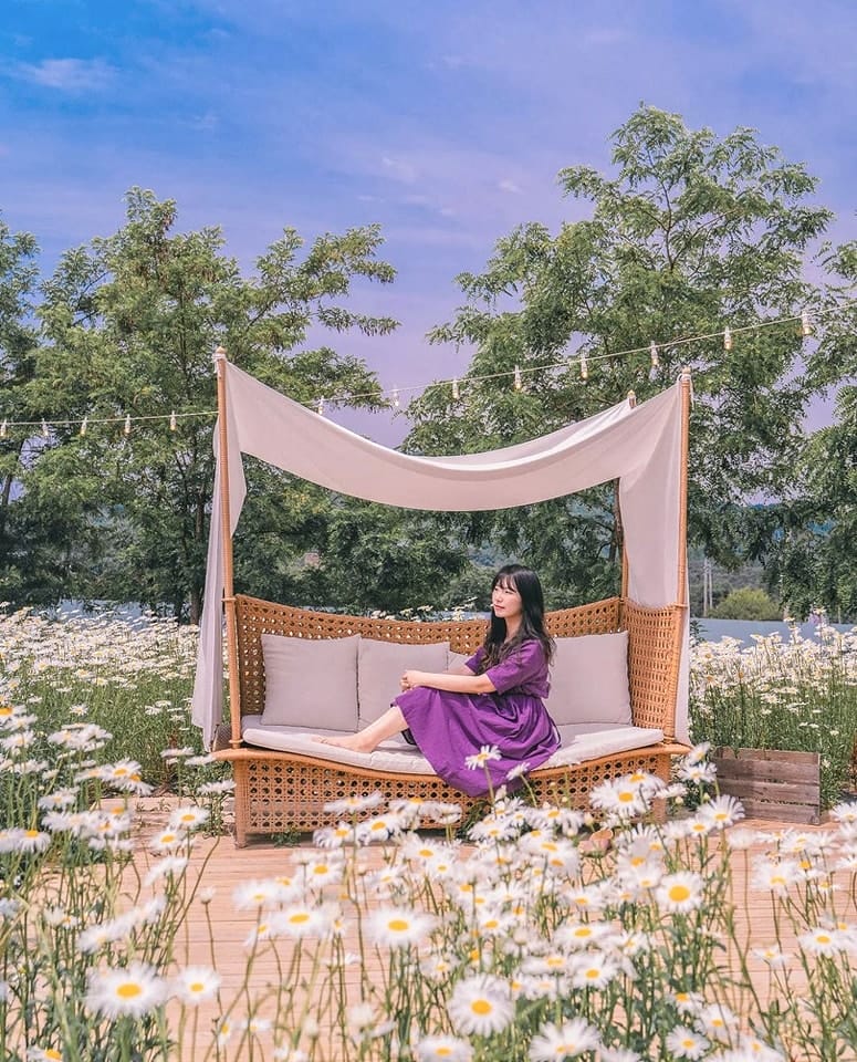 283499374 308578384804543 3626433852920520758 n 2 Quán cà phê sân vườn ngập tràn hoa tại Kangwon